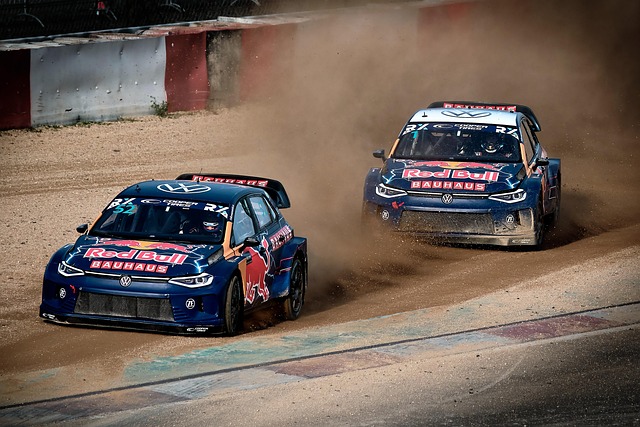 它是一种象 它是一种象