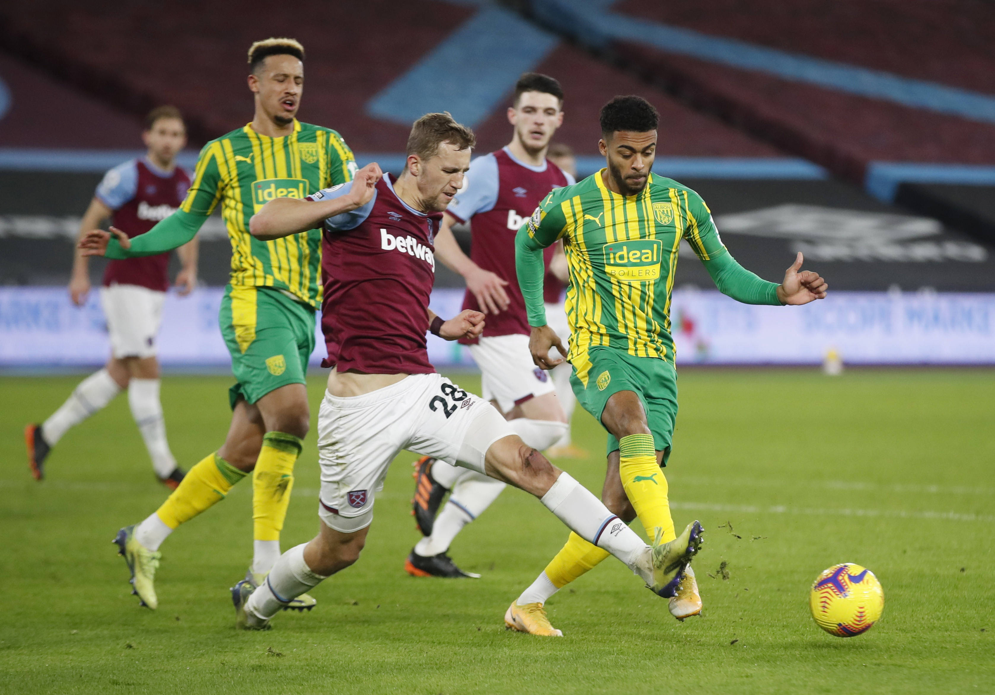 性和高观赏 性和高观赏